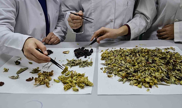 Bilimsel araştırma yapıldı: 'Kış çayları yarardan çok zarar verebilir'