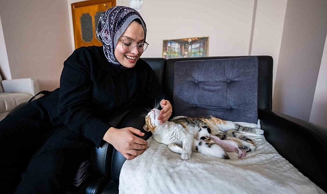 Camiye sığınan kedi ve yavruları yeni yuvasına kavuştu