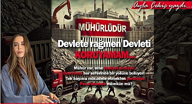 Devlete Rağmen Devleti Koruyamam!