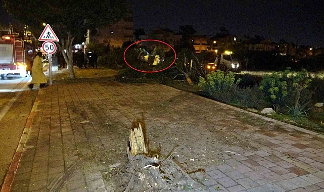 Kaldırıma çarpıp bahçeye uçan otomobilin sürücüsü polisten acı haber