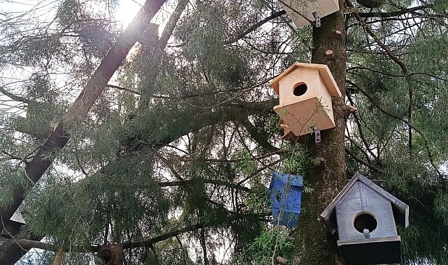 Köyceğizli minikler kuşlar için yuva hazırladı