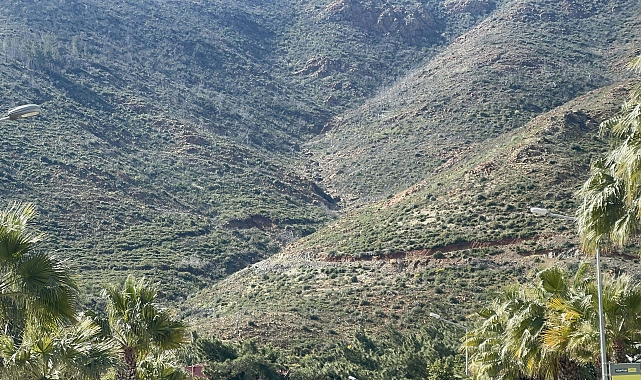 Marmaris'te Yanan Ormanlarda Fidanlar Boy Verdi