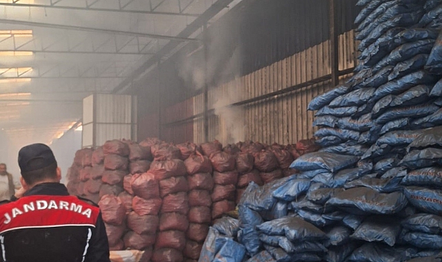Mersin'de kömür deposu yangını