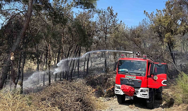 Mersin'de orman yangını: 1,5 hektar alan zarar gördü