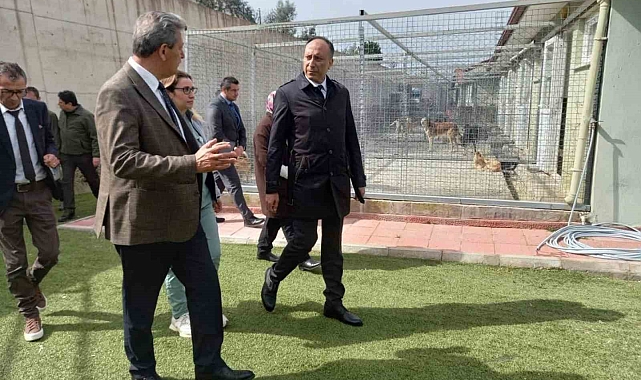 Muğla Büyükşehir Geçici Hayvan Bakım Evi'nde inceleme