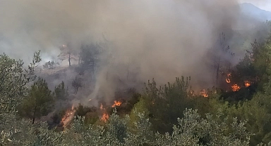 Osmaniye'de ormanlık alanda korkutan yangın