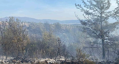 Osmaniye'nin Düziçi ilçesinde çıkan orman yangını söndürüldü