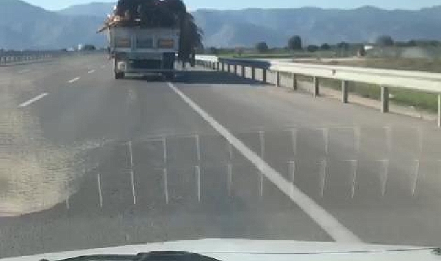 Tahta ve Tomruklar Yola Saçıldı; Şoför Aldırmadan Devam Etti
