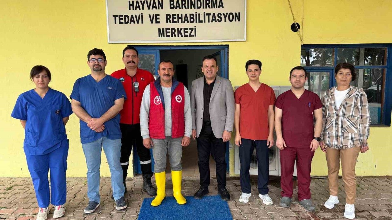 Sokak Hayvanlarına Destek Çağrısı