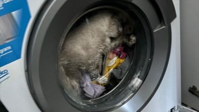 Çalışan Çamaşır Makinesinde Sıkışan Kediyi İtfaiye Kurtardı