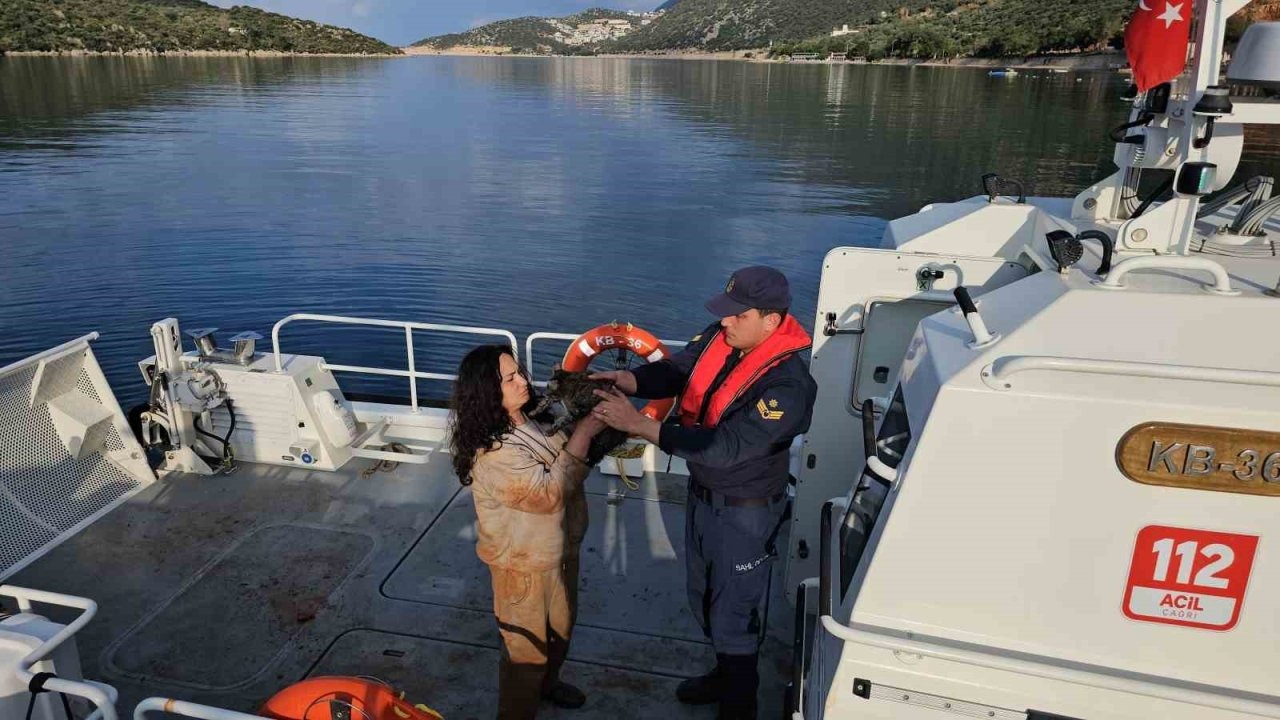 Antalya’da düzensiz göçmen operasyonu: 25’i çocuk 80 kişi kurtarıldı