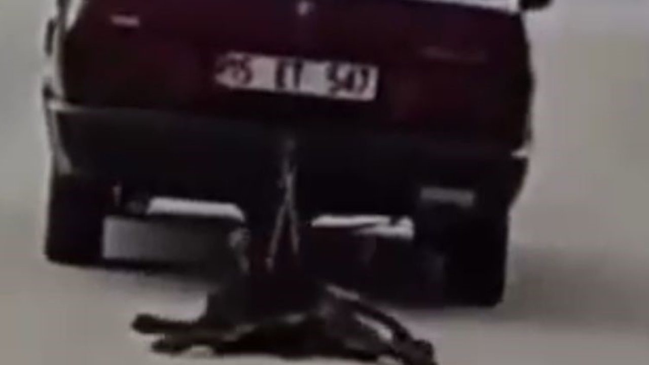 Burdur’da köpeği aracının arkasında sürükleyen şahıs tutuklandı