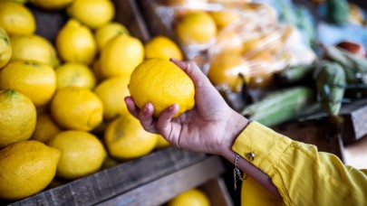 Limon İhracatı Durduruldu