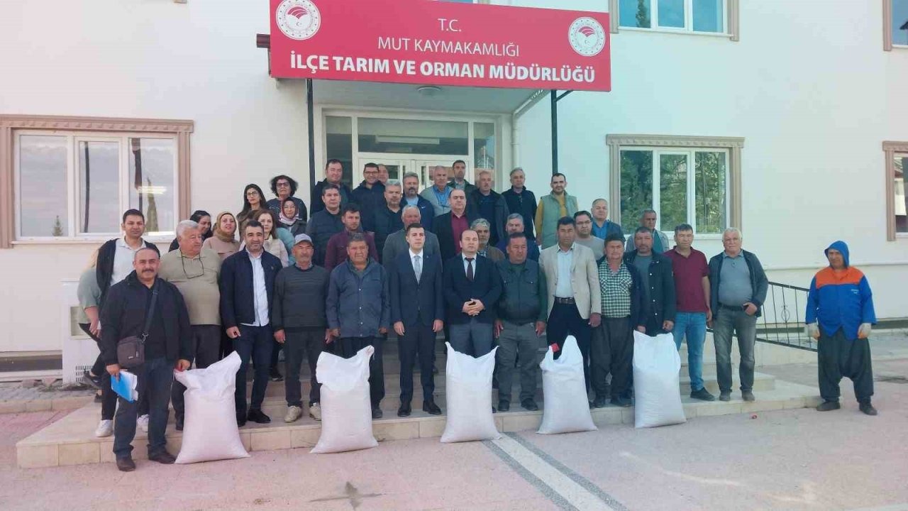 Mersin Mut’ta üreticiye tohum desteği