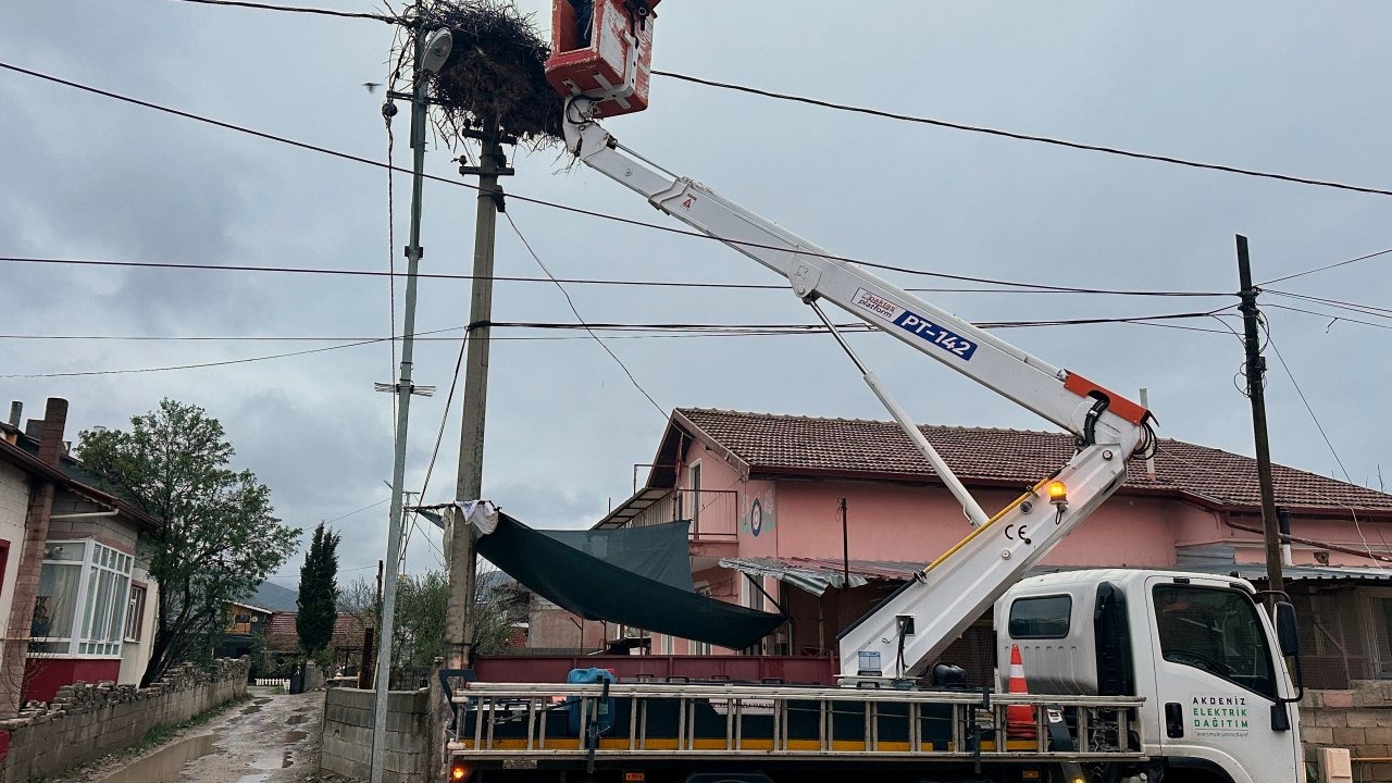 Bozulan leylek yuvası düzeltildi
