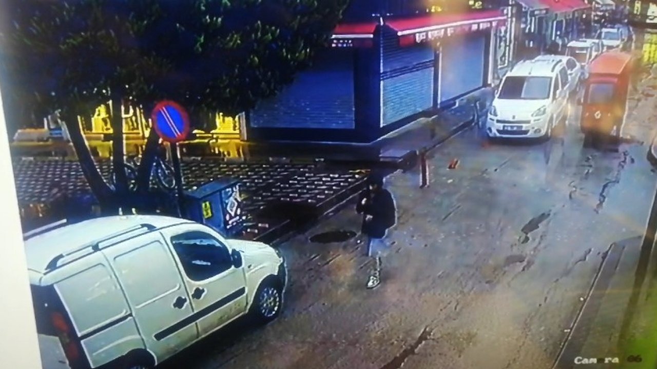 Devrilen çam ağacının altında kalmaktan kıl payı kurtuldular