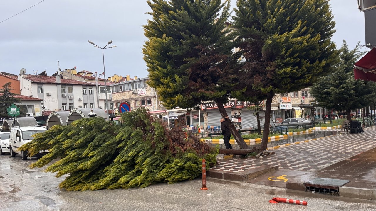 Ağaç yola devrildi