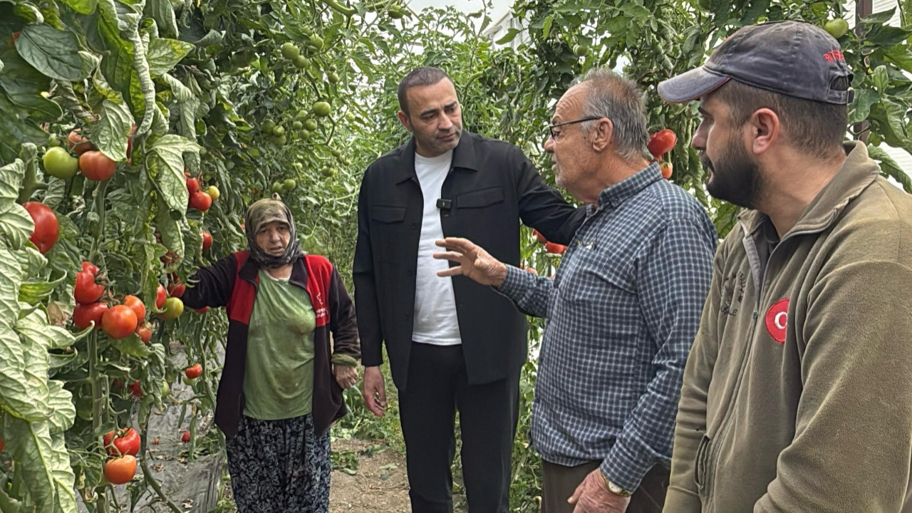 Antalya’da Domates Üreticisi Zor Durumda!