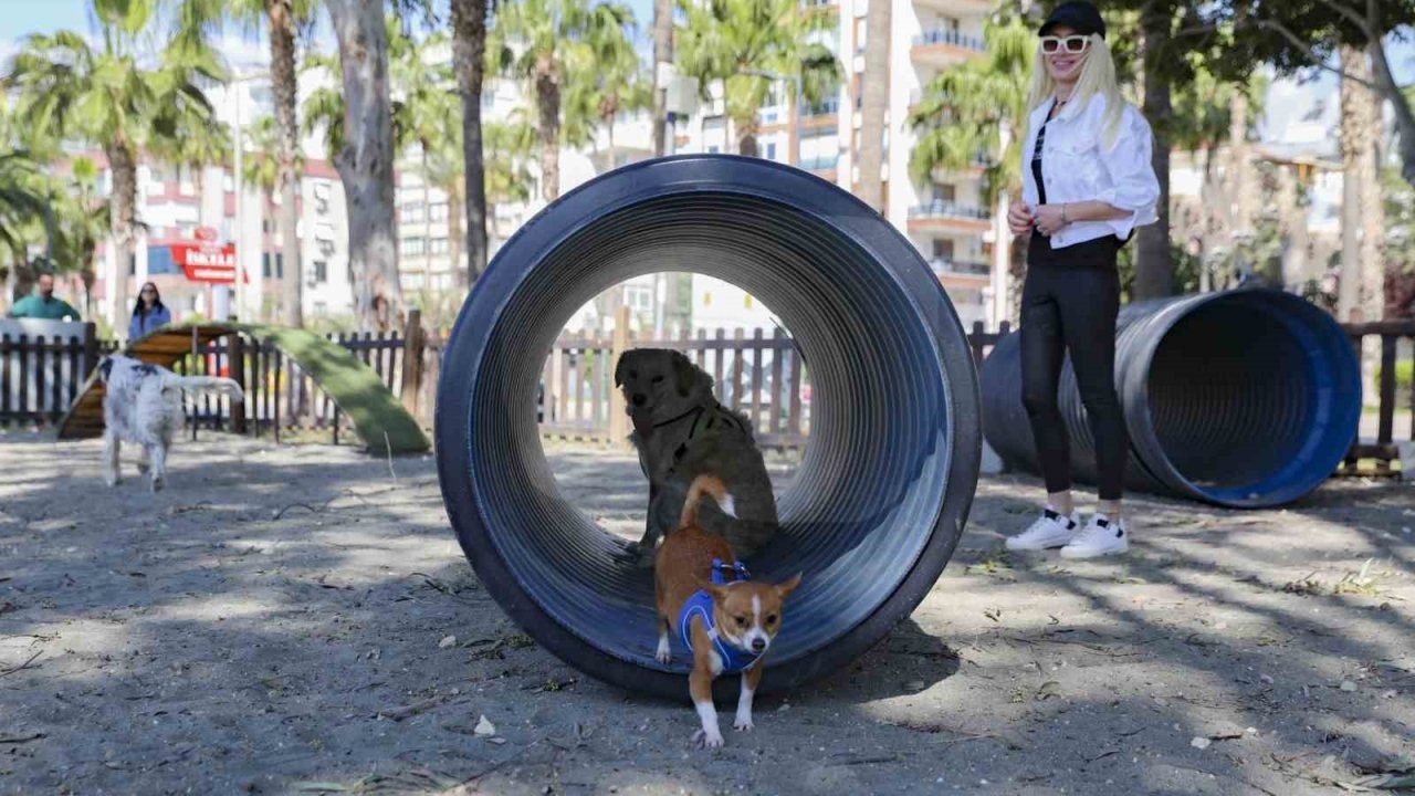 Mersin’den patili dostlara özel oyun parkı