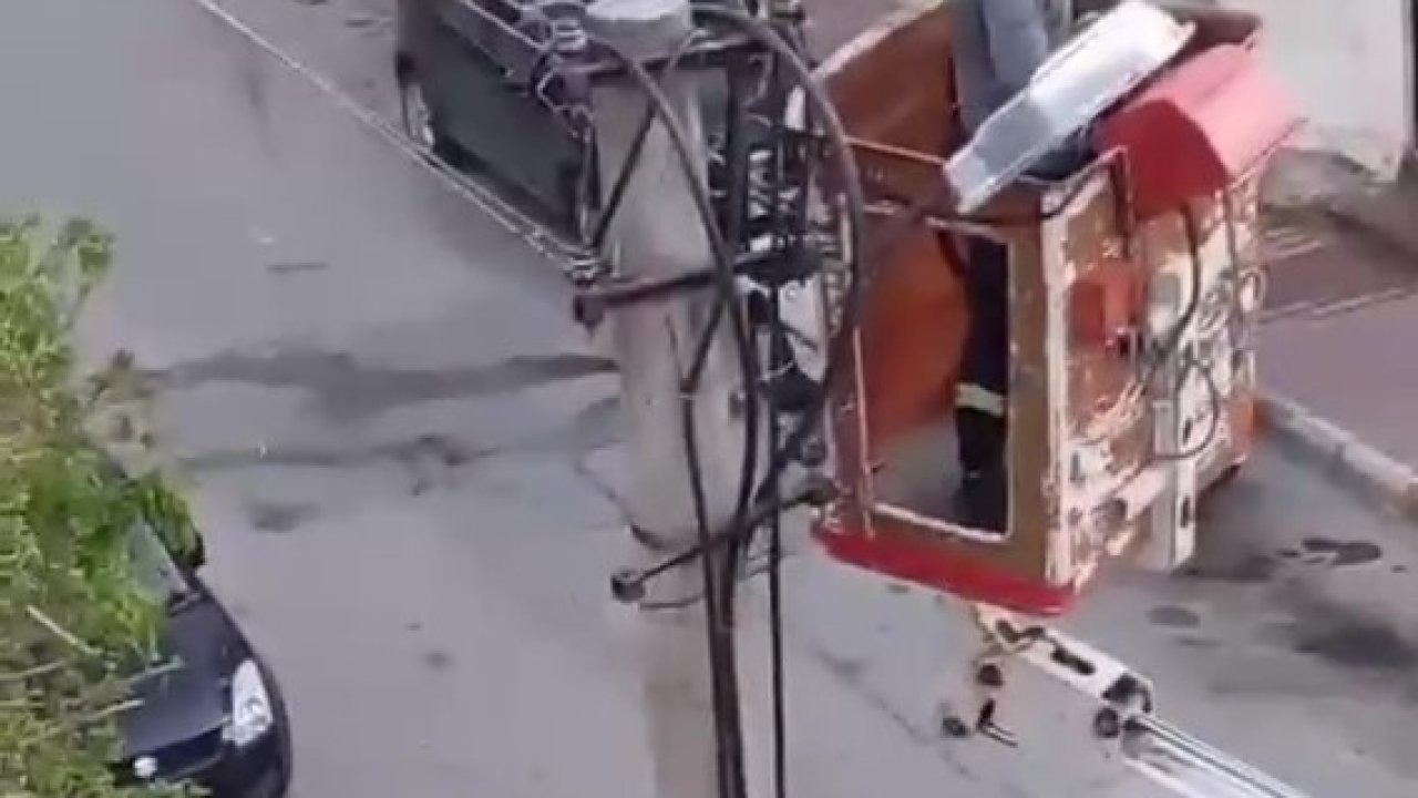 Elektrik tellerine takılan kumru için kurtarma operasyonu
