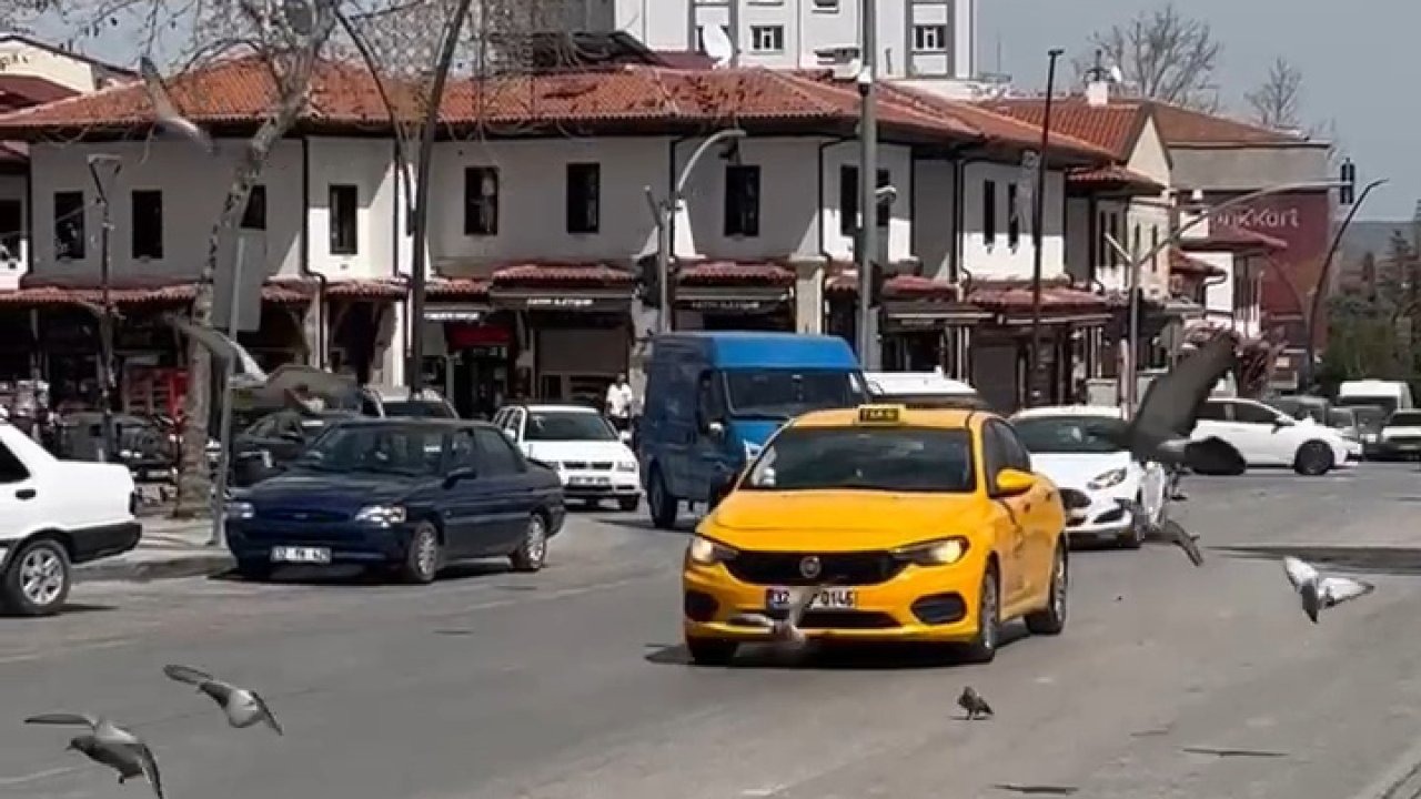 Sürücülerin güvercinlerle imtihanı