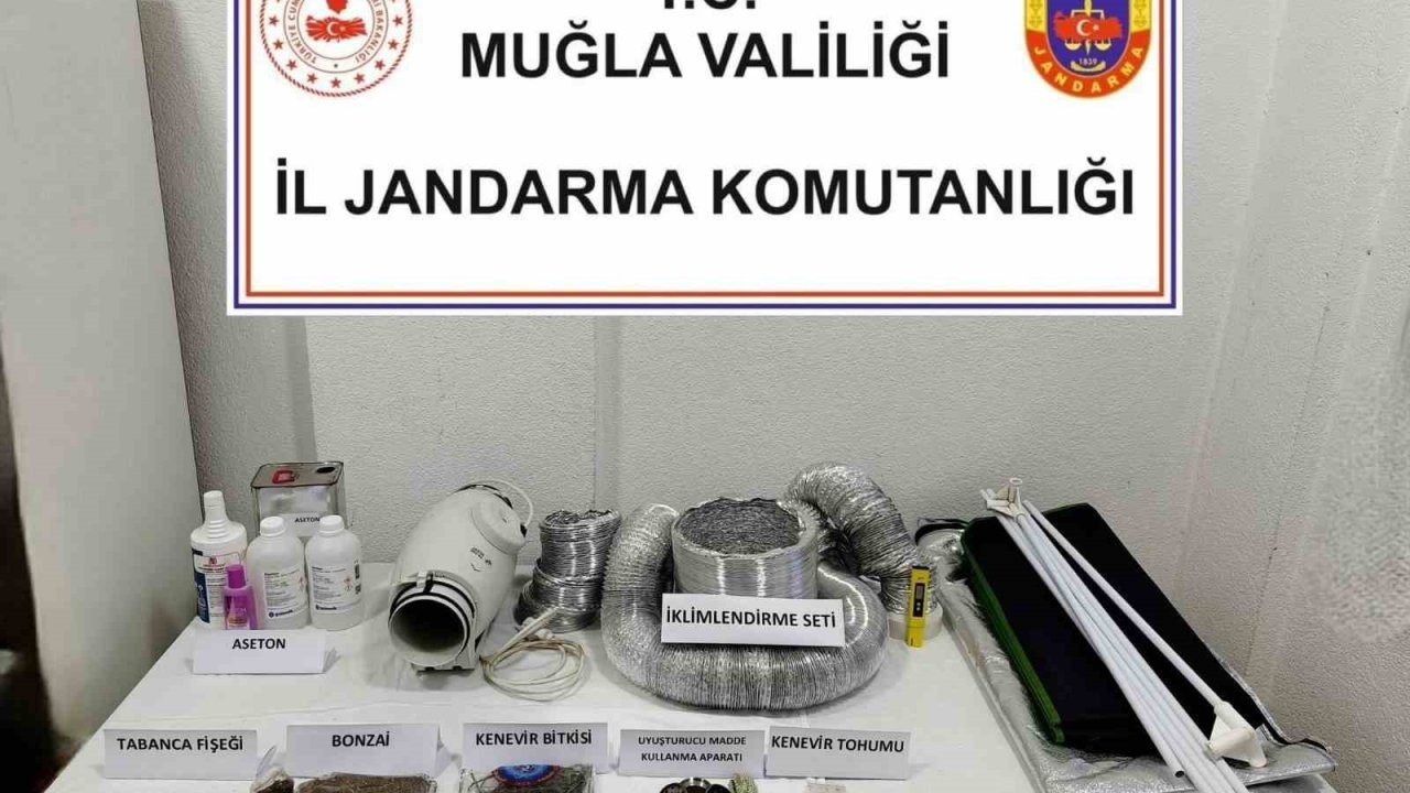 Uyuşturucu operasyonunda 1 gözaltı