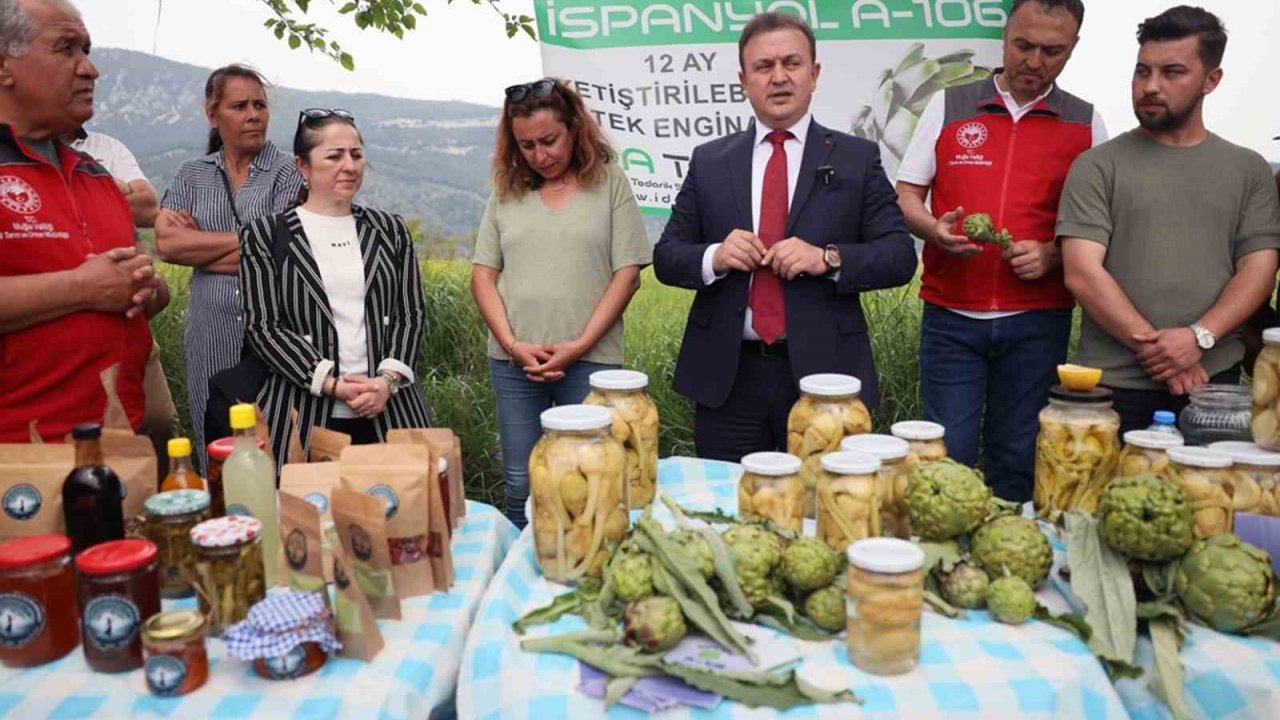 Akçapınar’da ‘Hibrit Enginar Hasadı Tarla Günü’ düzenlendi