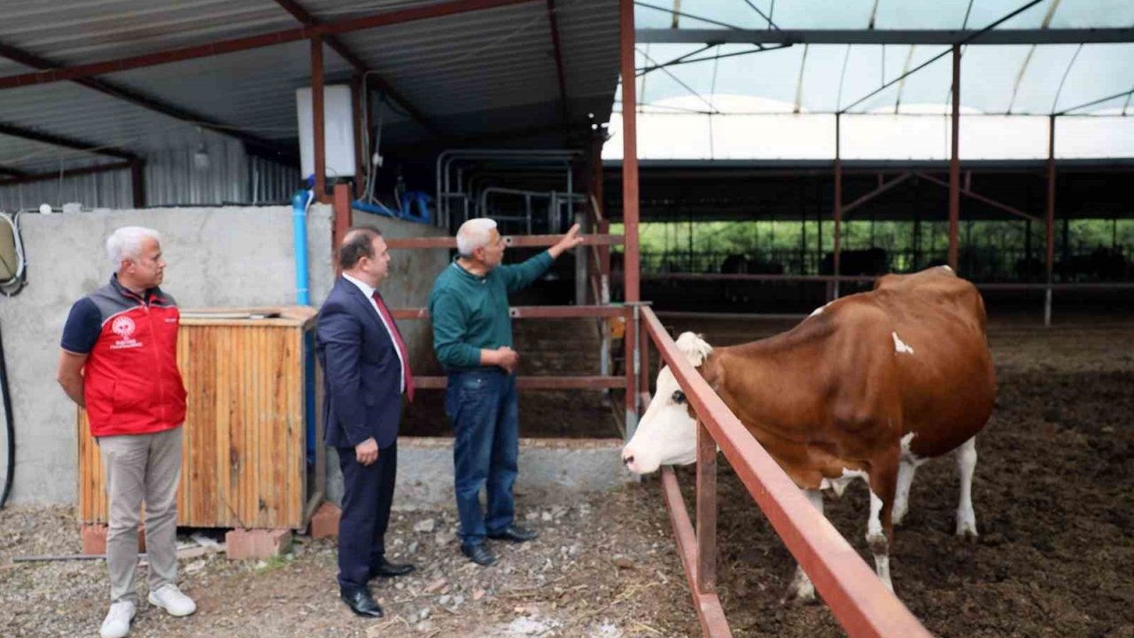 ‘Anneleri Aşılat, Buzağını Yaşat’ projesi eğitim toplantısı Ortaca’da gerçekleştirildi