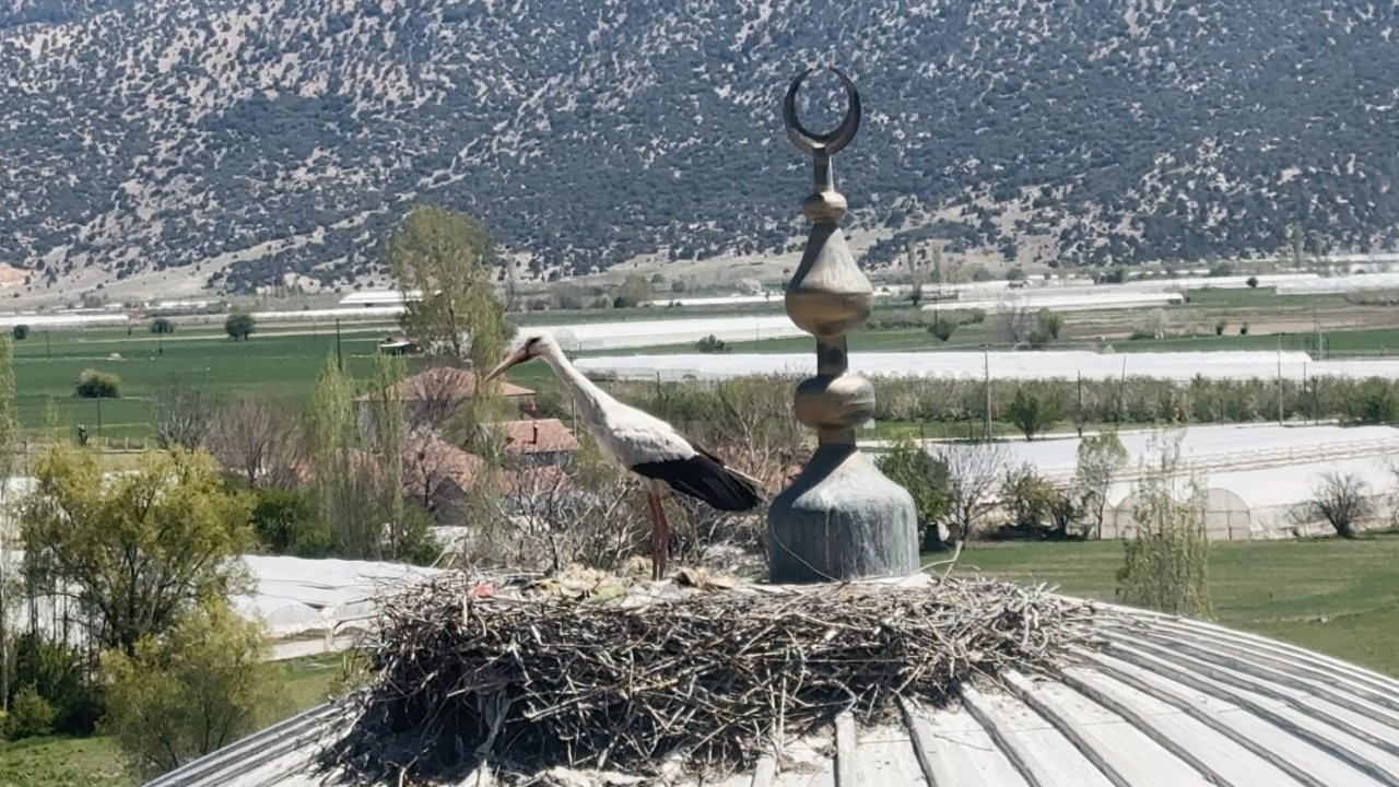 Her yıl aynı caminin kubbesine yuva yapan leylek cemaatin ilgi odağı oldu