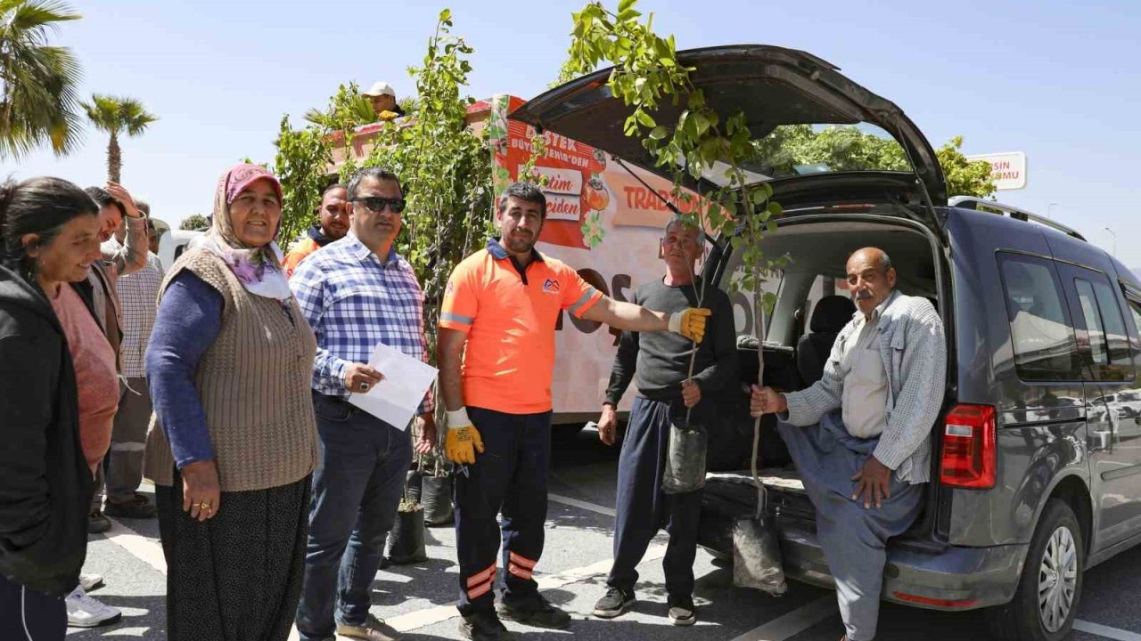 Mersin’de üreticilere Trabzon hurması fidanı dağıtılıyor
