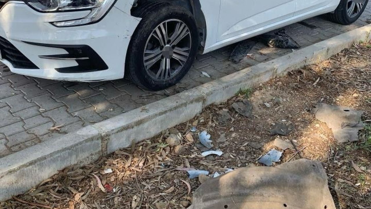 Domuzlar otomobili parçaladı