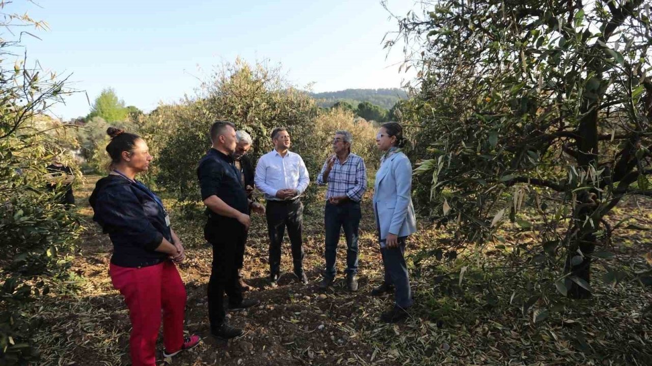 Zirai don zararını azaltmak için narenciye üreticilerine gübre dağıtıldı