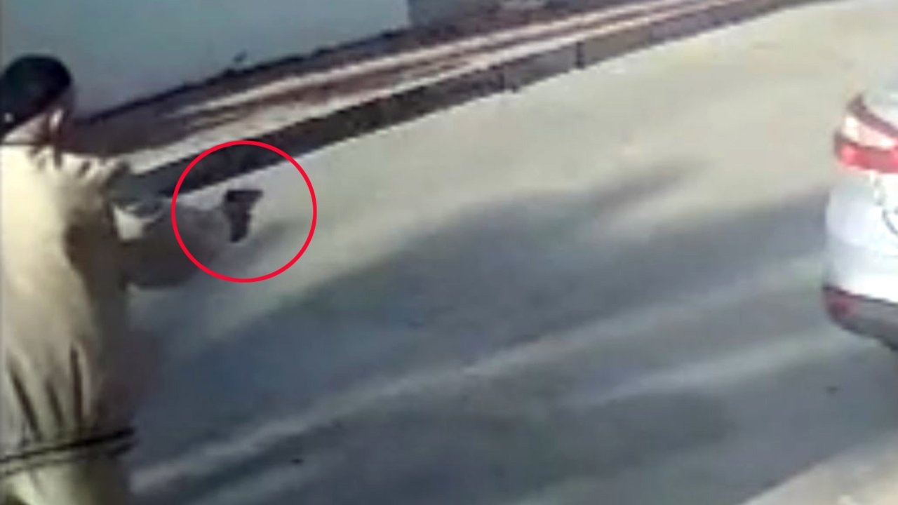 İşletmenin beslediği köpeğe 3 el ateş edip, öldürdü