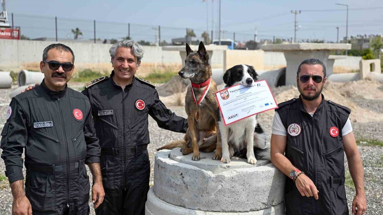 Mersin itfaiyesinin kahraman patileri Ares ve Rex’ten önemli başarı