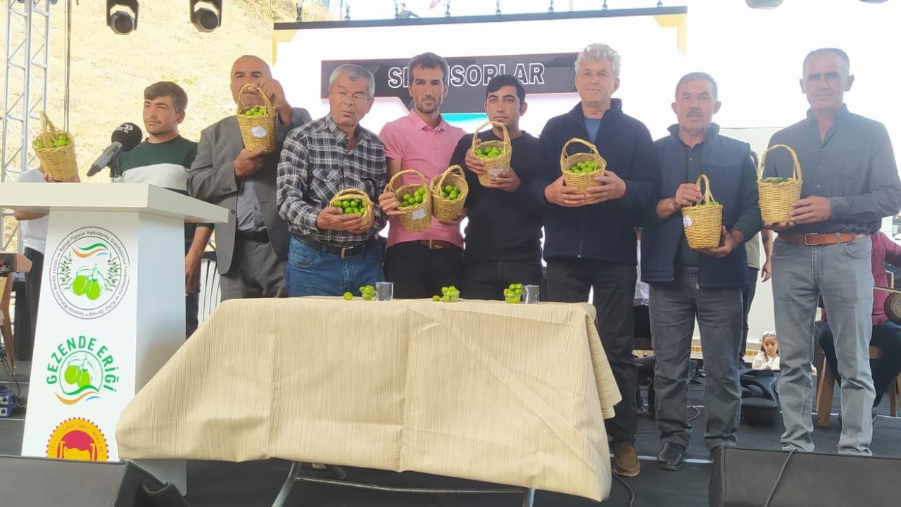 Gezende Erik Festivali’nin 15’incisi gerçekleştirildi