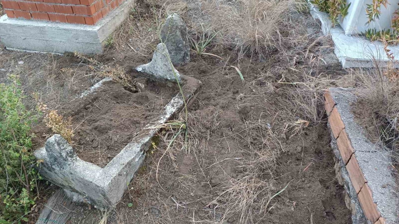Yaban domuzları mezarlara zarar verdi, mahalleli tel örgü istedi