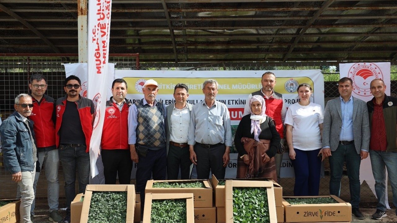 Ata Tohumu projesi Menteşe’de başladı