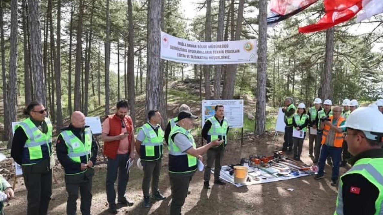 Muğla Orman Bölge Müdürlüğü’nde silvikültür tatbikatları tamamlandı