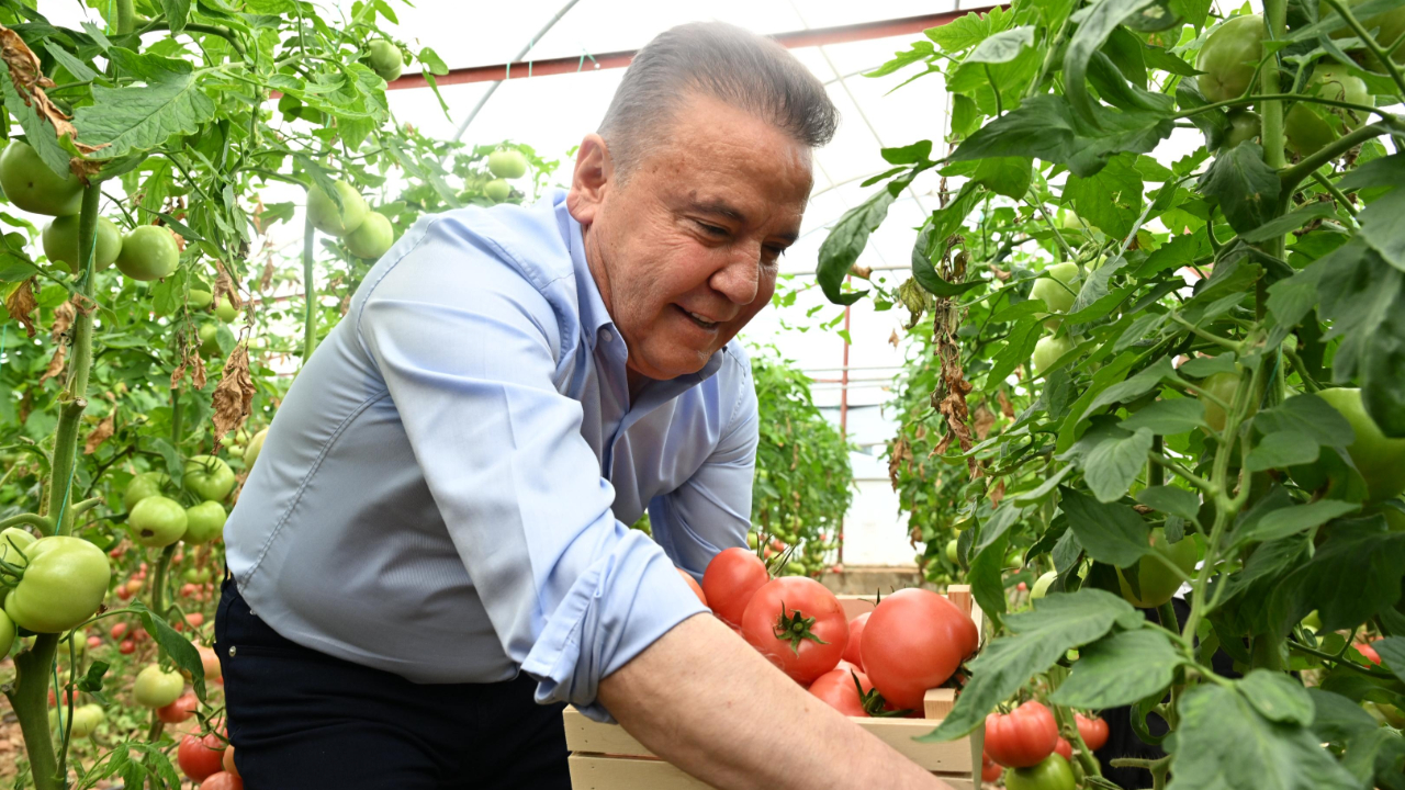 FoodFest Antalya, Domates Hasadıyla Başladı
