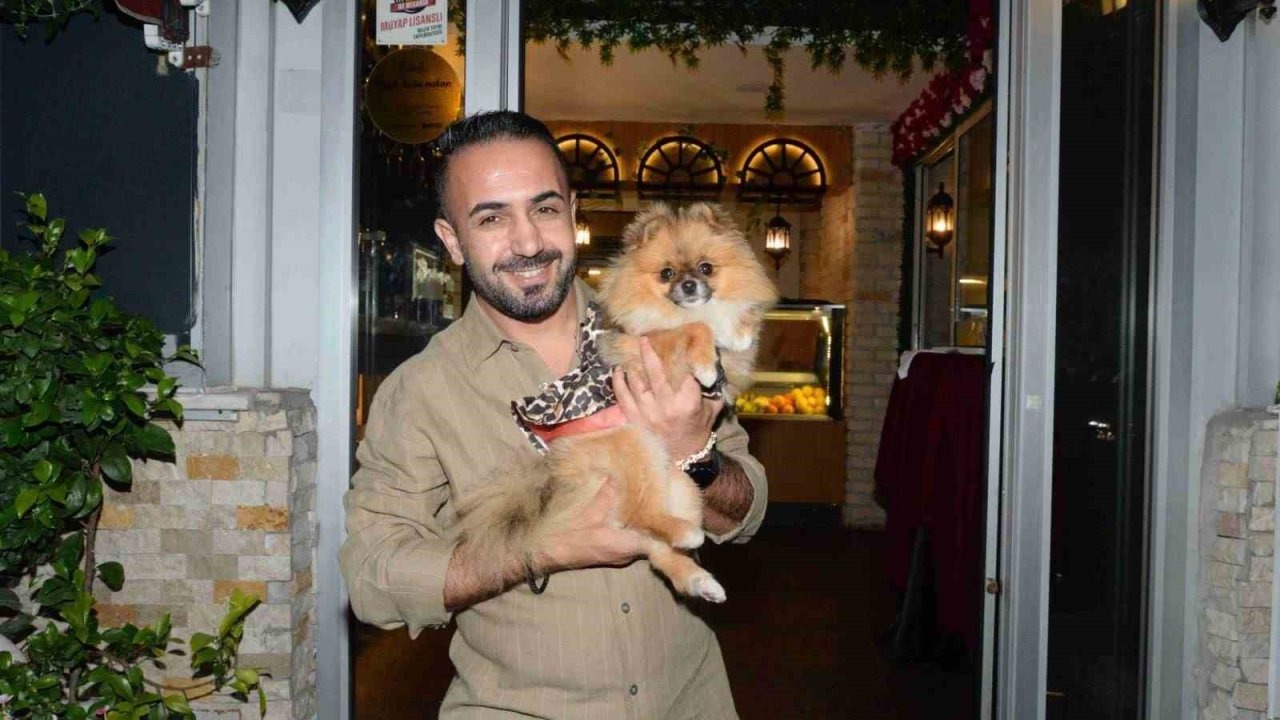 Antalya’da Güzellik Kraliçesi Köpeği İki Kişi Alıp Götürdü! Sahibi Kameraları İzleyince Şoke Oldu