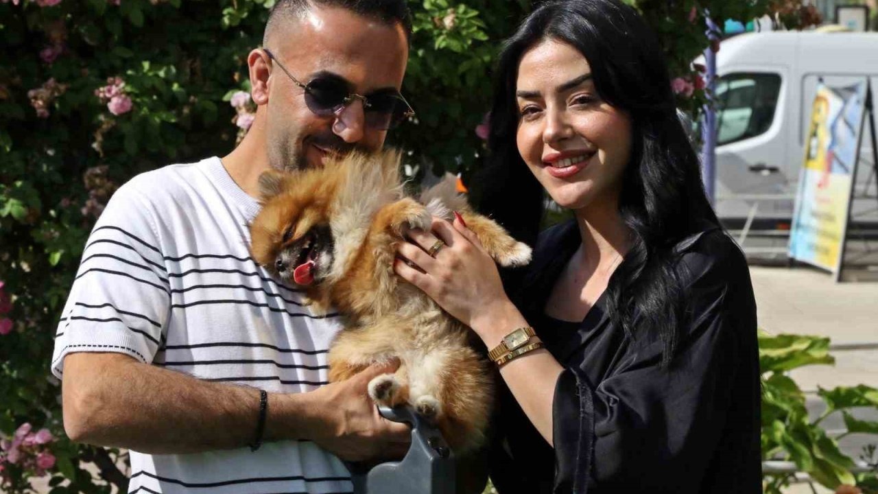 Güzellik yarışmasında birinci seçilip kaybolan köpek bulundu, sahipleri sevince boğuldu