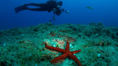 24. Uluslararası Kemer Sualtı Günleri Başlıyor: 16 Ülkeden Katılımcı Kemer’de Buluşacak