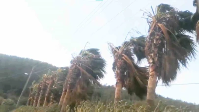 Muğla’da Fırtına Alarmı: Vatandaşlardan Tedbirli Olmaları İstendi