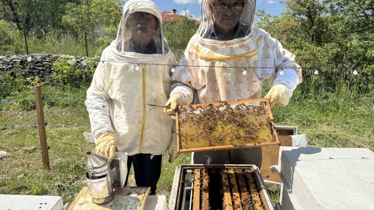 Antalya’da arıcılar yeni sezona hazırlanıyor