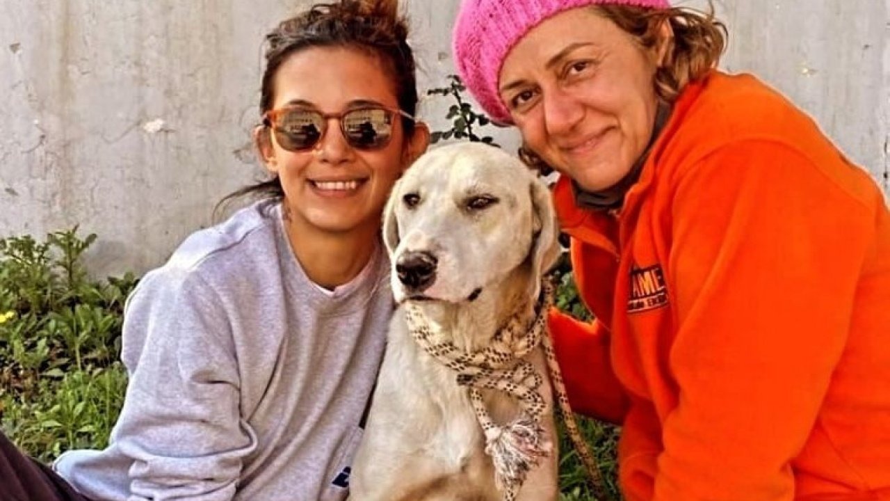 Depremde kurtarılan köpek, Datça’daki yeni hayatına devam ediyor