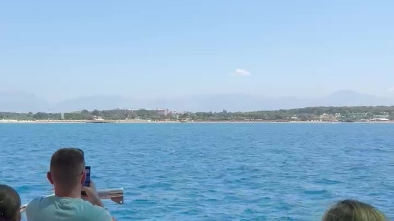 Side açıklarında Akdeniz foku görüntülendi, turistler hayretler içinde izledi