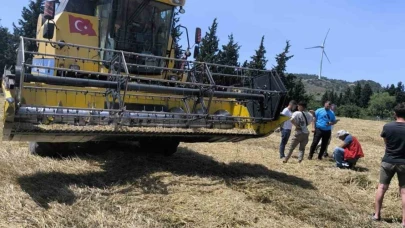 Muğla’da Biçerdöverle hububat hasadı başladı