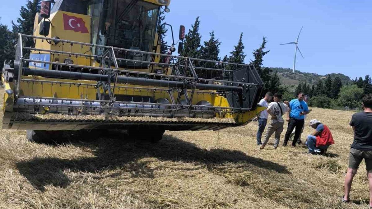 Muğla’da Biçerdöverle hububat hasadı başladı