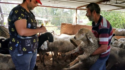 Yayla göçü öncesi aşı ve kimliklendirme çalışması