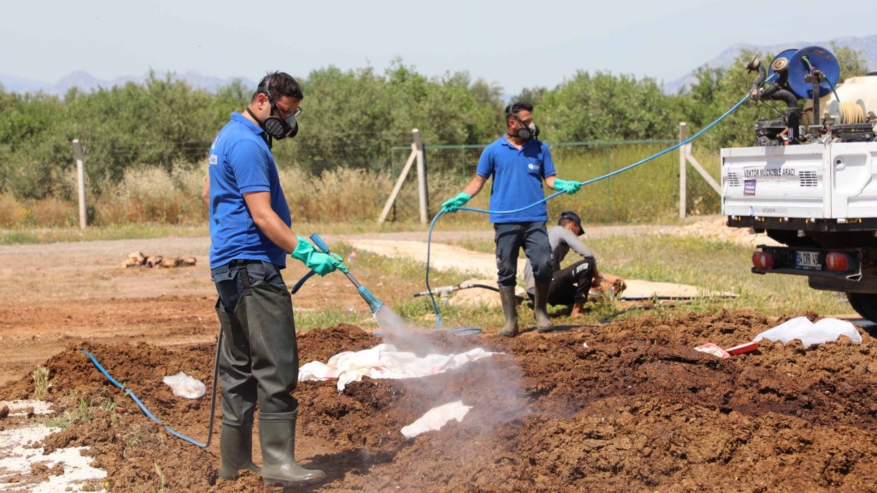 Büyükşehir kurban satış noktalarını ilaçlıyor